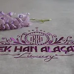 Tek Han